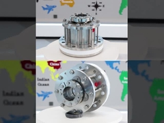 Kurumuş Gıda sınıfı karıştırıcı mekanik mühürler